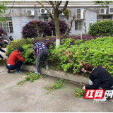 网格·雨花之治 | 汇聚群众力量 助力“洁净雨花”