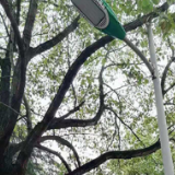 学党史办实事 | 为民照亮幸福路 最是“小事”暖民心