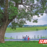 聚焦“ 四位”办实事 长沙县以党史学习教育成果解百姓“急难愁盼”