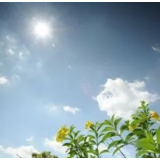 长沙入夏，未来一周晴雨交错