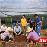 湖南农大专家赴省工业和信息化厅乡村振兴驻点西屏村指导