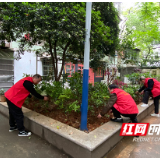 网格·雨花之治 | 百日奋战精梳妆，扮靓星城换新颜