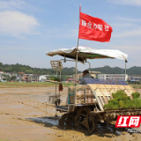 实现“机器换人”！打通浏阳沙市镇服务粮农最后一公里