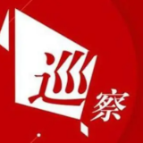 长沙提前完成124个市直部门和企事业单位党组织的巡察工作