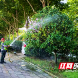 长沙“暑”你最美｜雨花园林“解渴降温” 绿化植物一天“喝水”3000吨