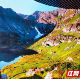 产业先锋 品牌榜样 | LED魔幻大屏闪耀全球