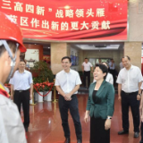 吴桂英：高标准高质量高水平推进智慧电网建设 为建设现代化新长沙提供坚强电力保障