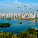 百年岳麓红 | 走前列、当主力，做深做实党史学习教育