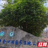 城市之“肾” | 金洲湖湿地:生态风景线 城市风光带