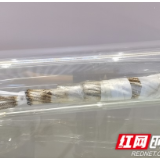 制高点 | “神十二”飞天，湘潭伢子汤洪波火了，湘潭产的这根电缆也蹿红