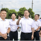 郑建新：争创乡村振兴“长沙样板”，树立美丽乡村“省会标杆”