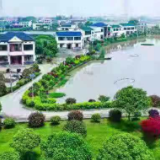 美丽湘江，我的家 望城区湘江村积极推进湿地建设