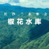 长沙城发集团：按下“快进键”椒花水库项目工程鏖战正酣