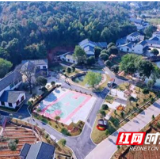 长沙市望城区：人才振兴搅活乡村振兴一池春水