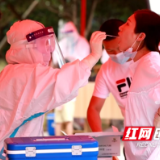 这场核酸检测“突击战”，宁乡为什么“能”？