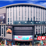 雨花“项”前冲 | 热度高马力足 自贸区建设“马不停蹄”