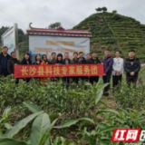 长沙县科技专家服务团荣获2020年度优秀科技专家服务团