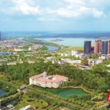 老人失足落水 他纵身跳进池塘救人