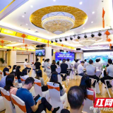 数字龙华“湘”遇星城 共推数字经济产业发展