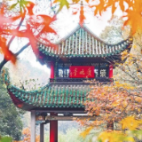 醉人秋色 来长沙赴一场文旅盛宴