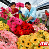 下好人才“先手棋” 走好乡村振兴路