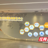 中非“湘”会 高桥登“高”｜先行区先行，一周年成绩单“亮”了
