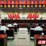 宁乡全面推行林长制 谱写绿色发展新篇章