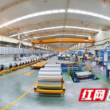 长沙登高 | 0.006毫米金属材料在全球掀起“保鲜革命”