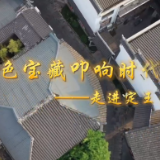 视频 | 以红色宝藏叩响时代强音——走进定王台街道