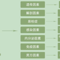 四次胎停六次流产 32岁孕妈母亲梦怎么继续？