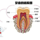 看牙先拍片，到底为了啥！