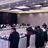 10项议题通过！聚焦虎年首次控规修改前置审查会议
