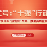 图解 | 代号：“十强”行动——宁乡落实“强省会”战略、推动高质量发展
