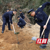 党建助力增新绿 美丽“北山”添生机