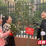 植廉于心倡廉于行 党员志愿者植树忙