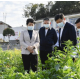 吴桂英：坚决扛牢粮食安全政治责任 推动乡村振兴取得更大成效
