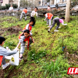 “志愿红”为“源圈”添新绿 共建生态环保家园