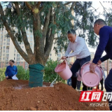 阳春三月，红色故里植绿忙