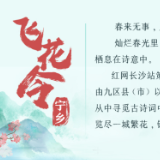 诗词海报 | 飞花令·宁乡