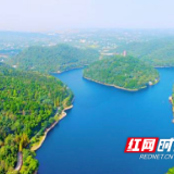 众人植树树成林 雨花区守护“绿心”有道