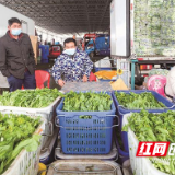 海吉星蔬菜日供应量稳定在1万吨以上 长沙市民“菜篮子”拎得稳