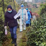 “数”说战“疫”丨奔赴30公里山路，“铁脚板”踩出黑麋峰上检测路