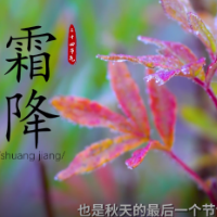 中医谈节气 | 霜降：秋露成霜，除燥防寒好迎冬