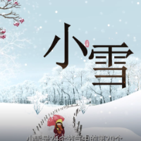 中医谈节气 | 小雪：小雪清薄寒意来，滋养肺肾防耗伤