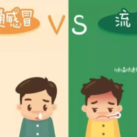 流感高发季 如何正确识别,有效预防?