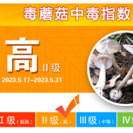 全国率先！湖南省在天气预报发布野生蘑菇中毒指数