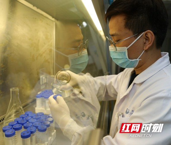 《医学检验》作者：湖南省胸科医院 陈亚男
　　湖南省胸科医院医院检验科内忙碌的检验师。