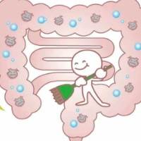 夏季肠胃疾病高发，守护健康需从“肠”计议！