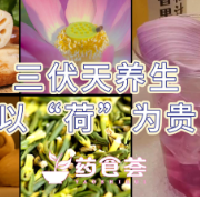 药食荟｜三伏天养生 以“荷”为贵