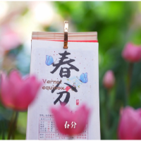今日春分：健康减重，正当其时